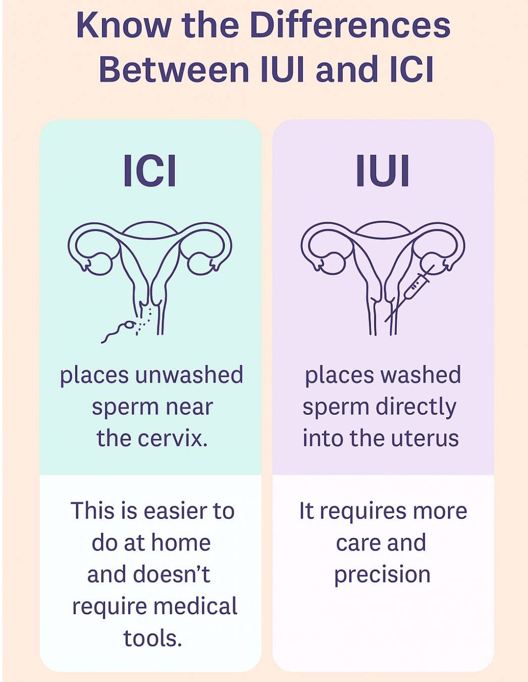 infographic of difference between ici and iui